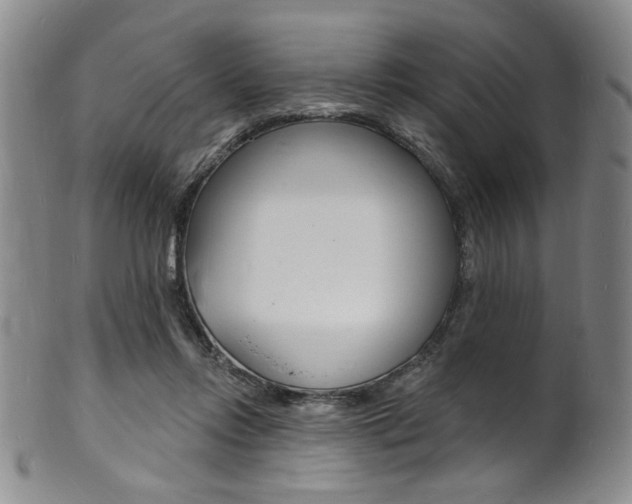X0000101690358200807101213
