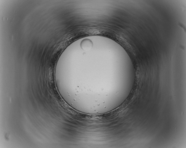 X0000101690359200807101213