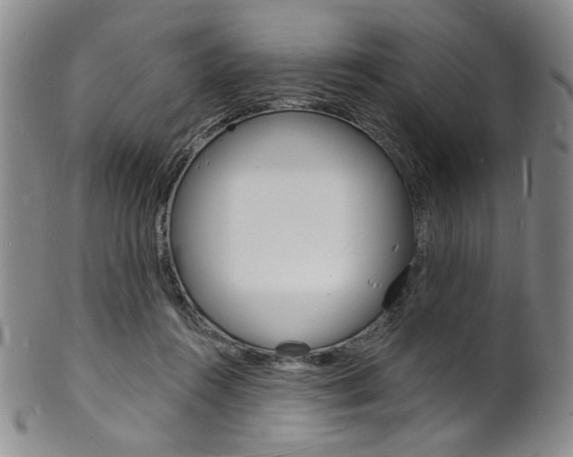 X0000101690360200807101213