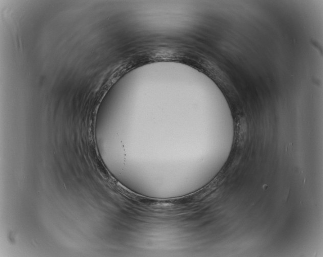 X0000101690361200807101213