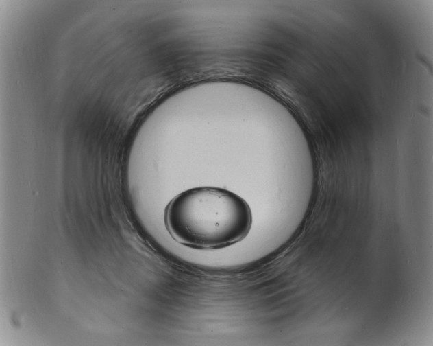 X0000101690362200807101213