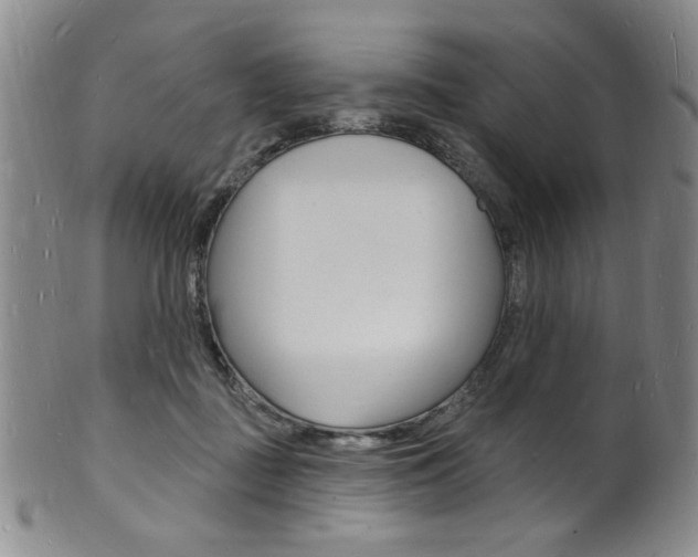 X0000101690363200807101213
