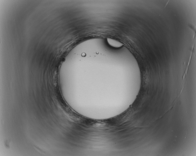 X0000101690364200807101214