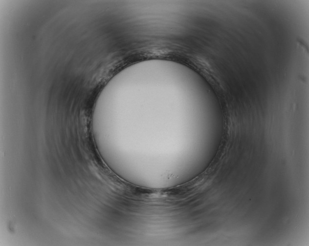 X0000101690366200807101214