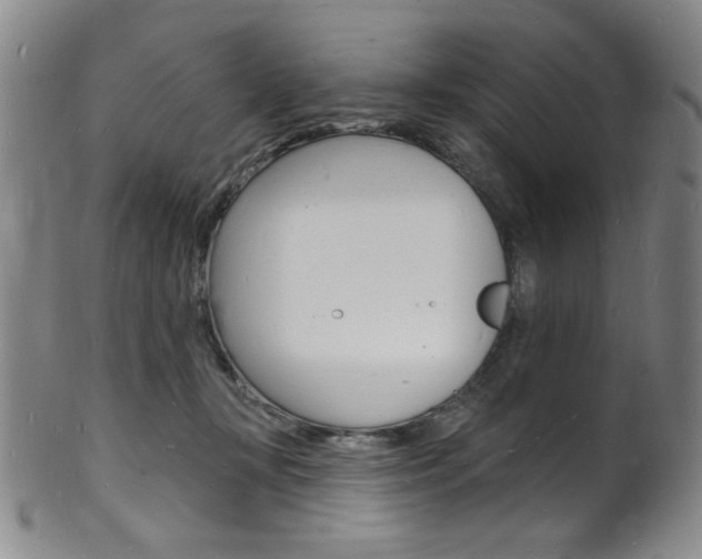X0000101690367200807101214