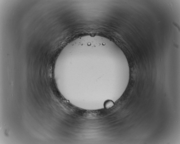X0000101690368200807101214
