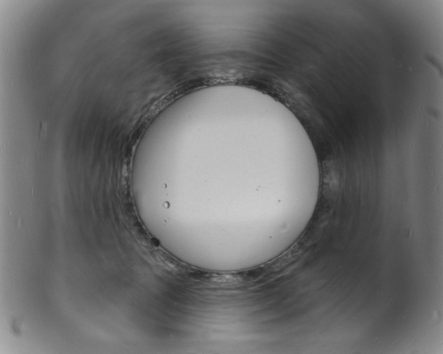 X0000101690369200807101214