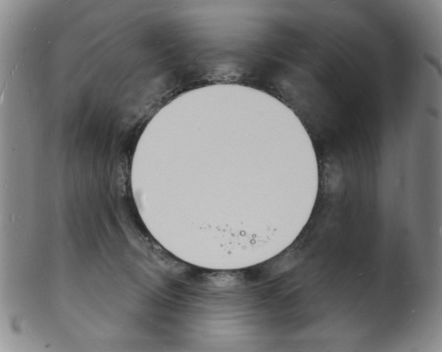 X0000101690370200807101214