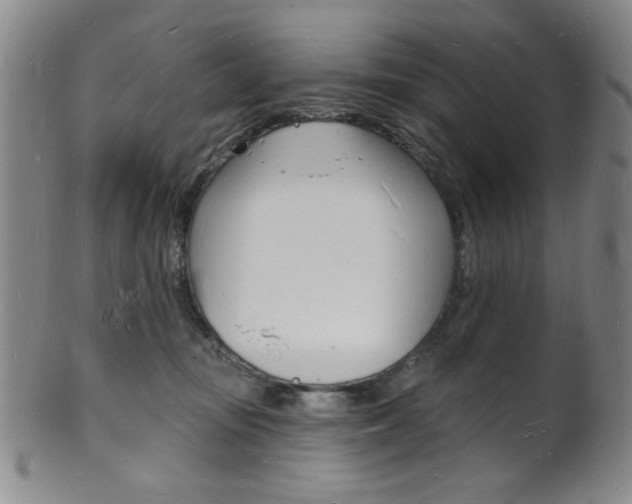 X0000101690371200807101214