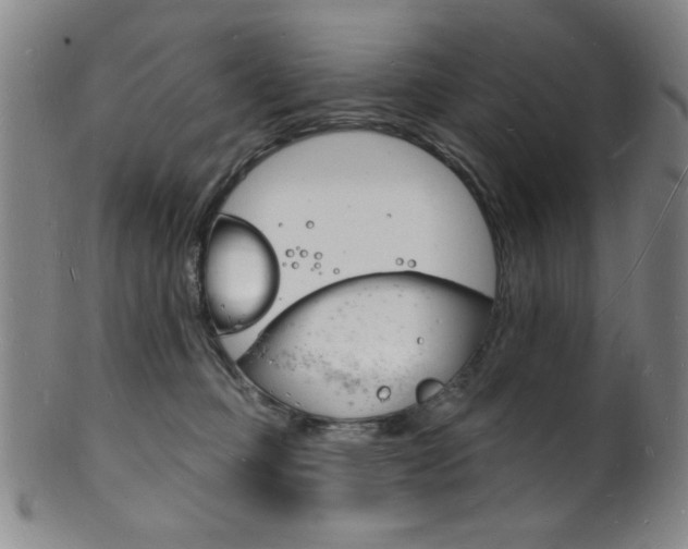 X0000101690373200807101214