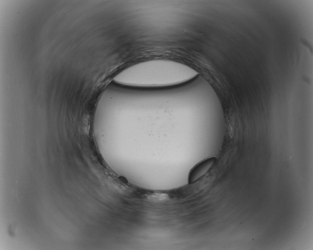 X0000101690374200807101214
