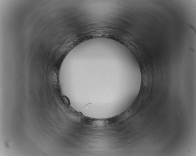 X0000101690375200807101214