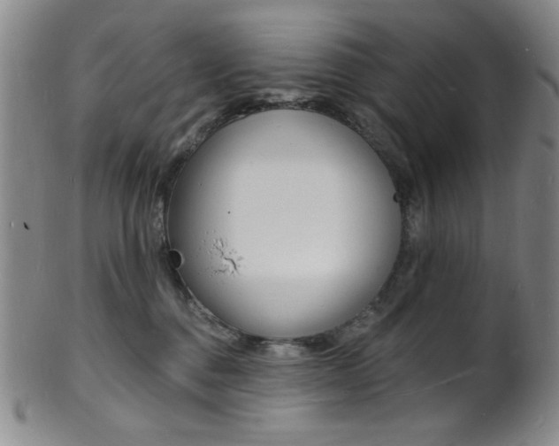 X0000101690376200807101214