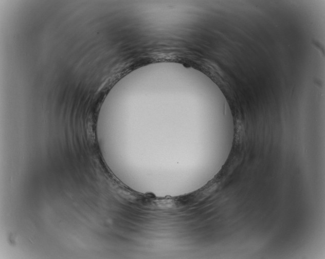 X0000101690377200807101214