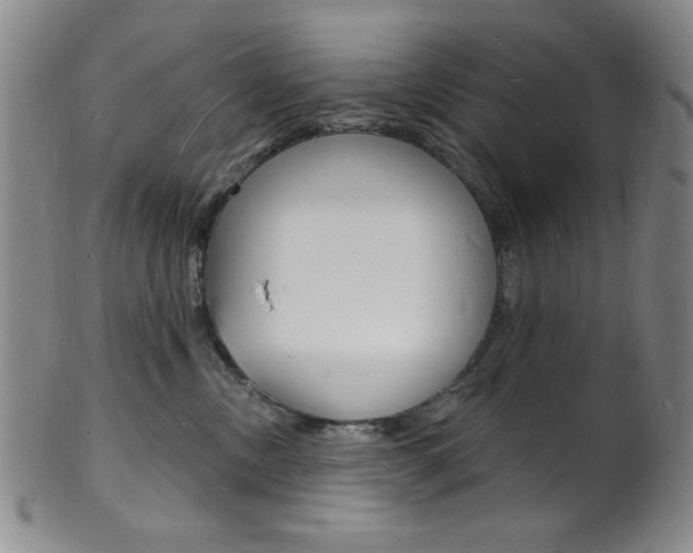 X0000101690378200807101214