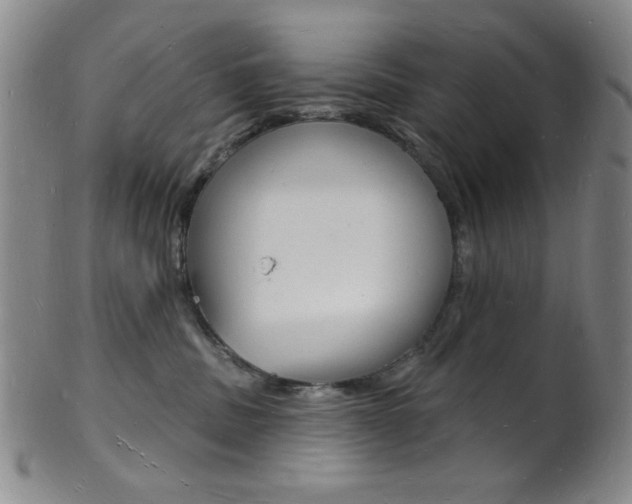 X0000101690379200807101214