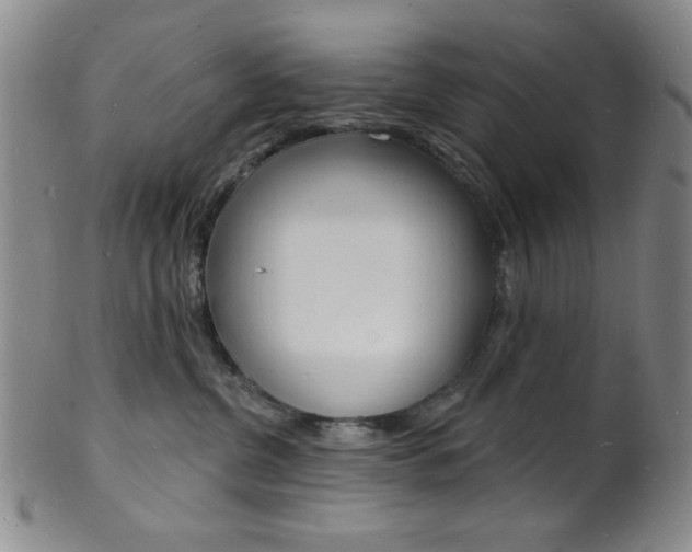 X0000101690380200807101214