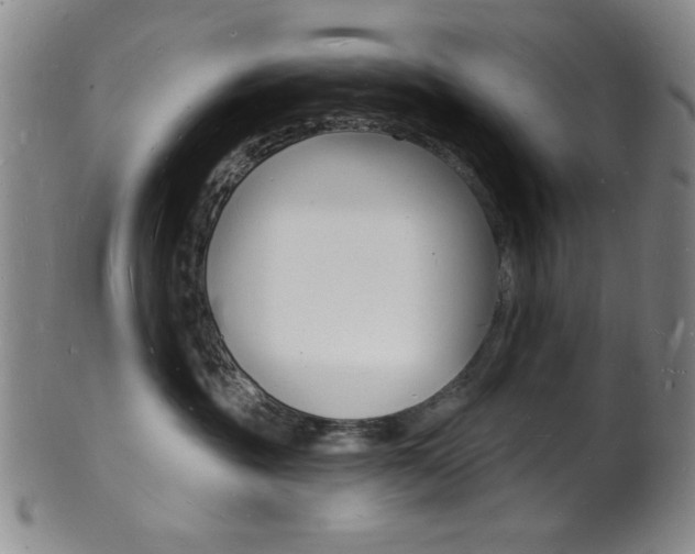 X0000101690381200807101214