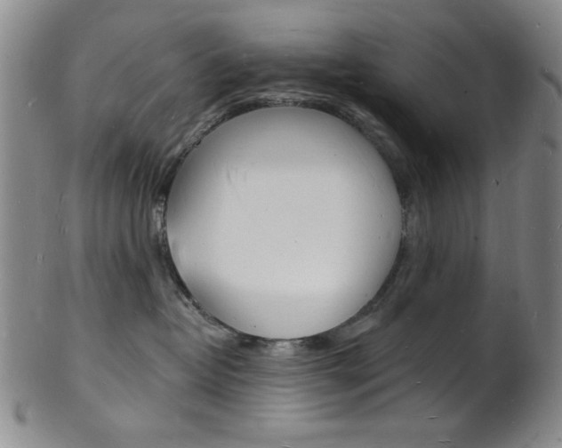 X0000101690382200807101214