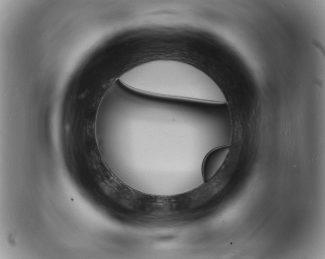 X0000101690383200807101214