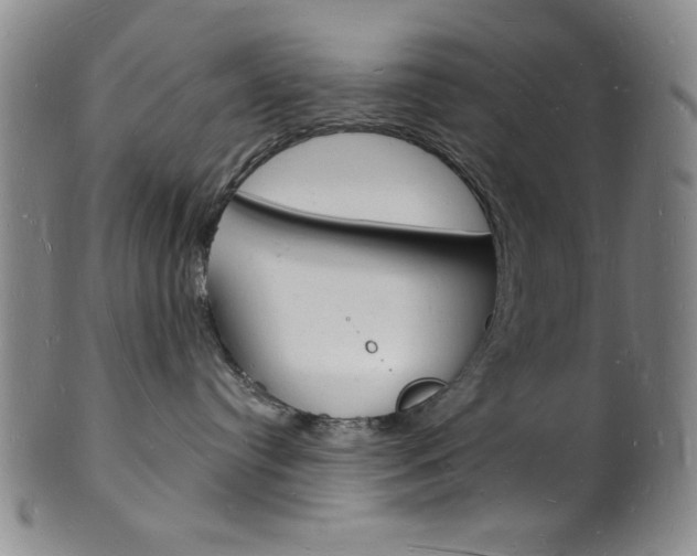 X0000101690384200807101214