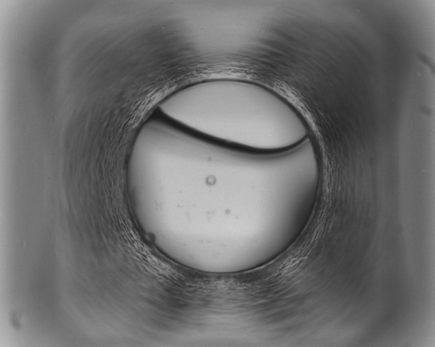X0000101690385200807101213