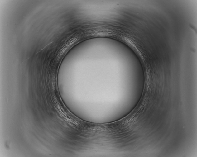 X0000101690386200807101213