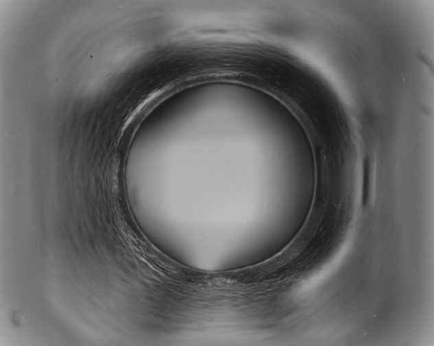 X0000101690387200807101213