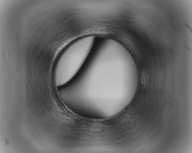 X0000101690388200807101213