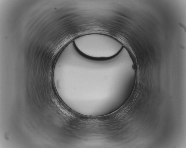 X0000101690389200807101213