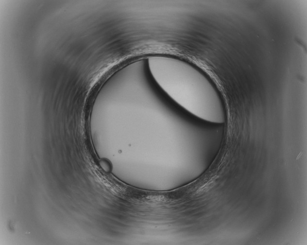 X0000101690391200807101213