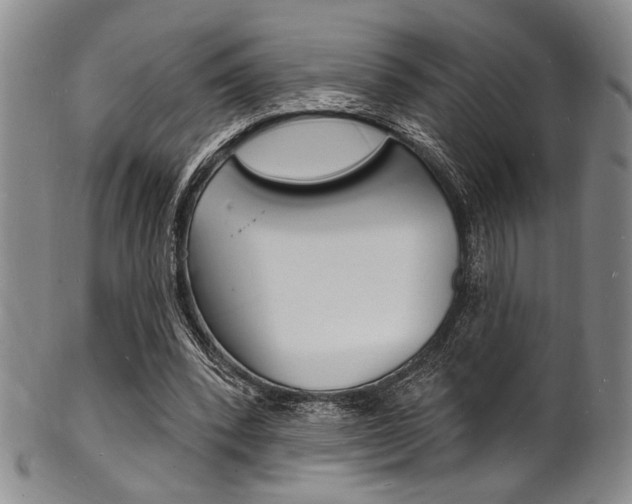 X0000101690392200807101213