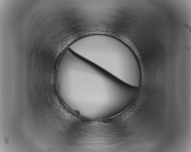 X0000101690393200807101213