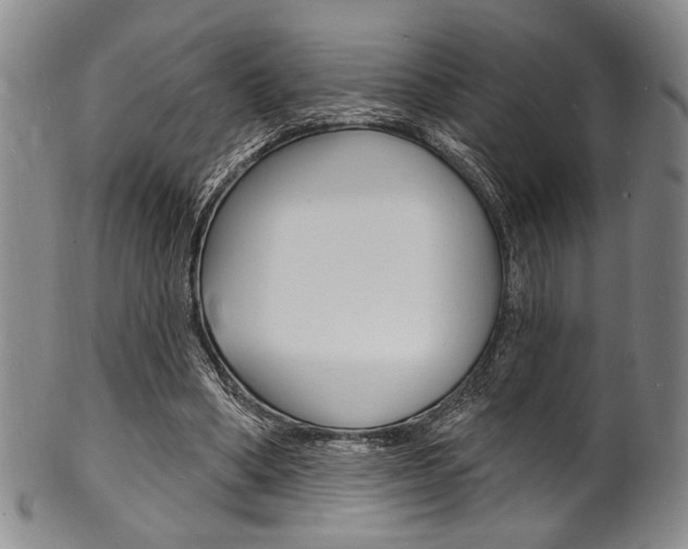 X0000101690394200807101213