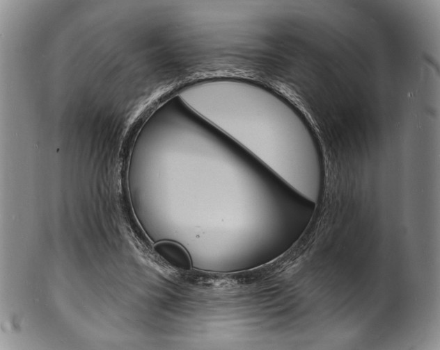 X0000101690395200807101213