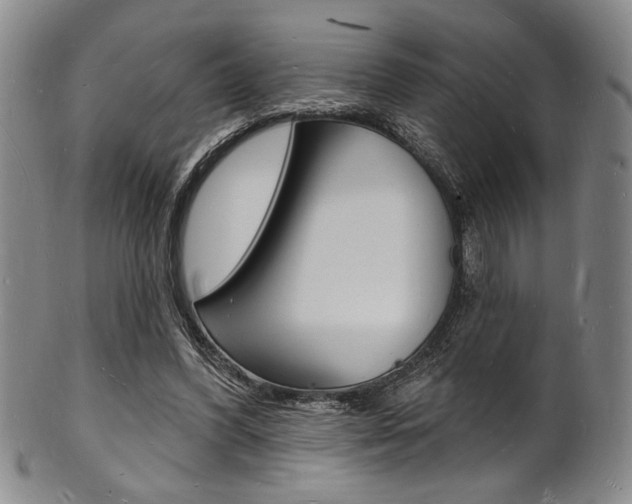 X0000101690396200807101213