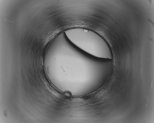 X0000101690397200807101213