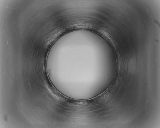 X0000101690398200807101213