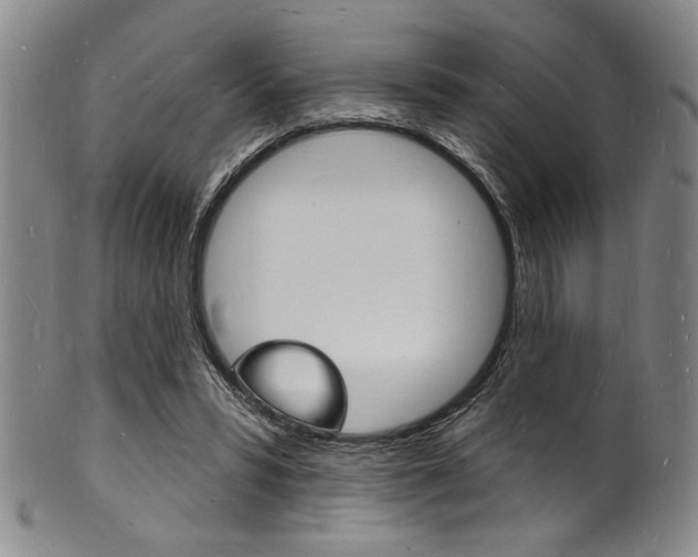 X0000101690399200807101213