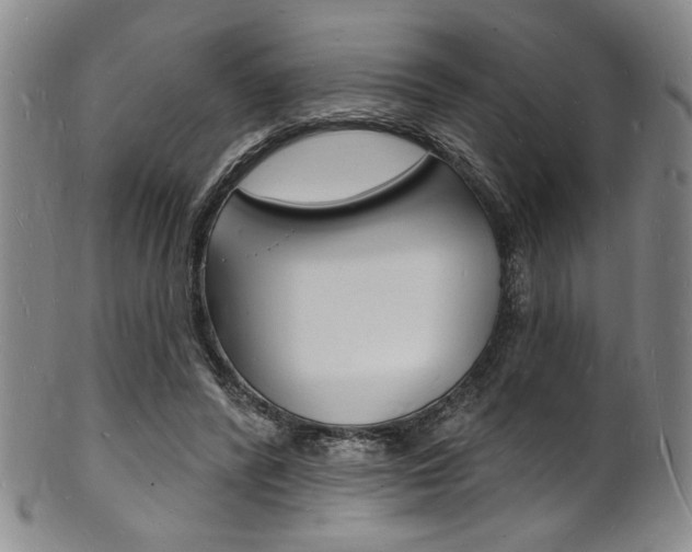 X0000101690400200807101213