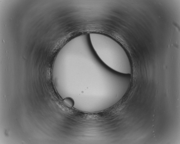 X0000101690401200807101213