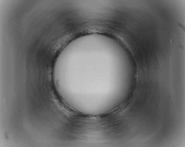 X0000101690402200807101213