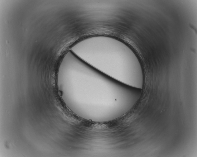 X0000101690403200807101213