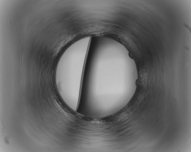 X0000101690404200807101213