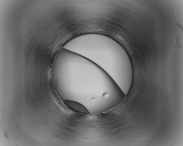 X0000101690405200807101213