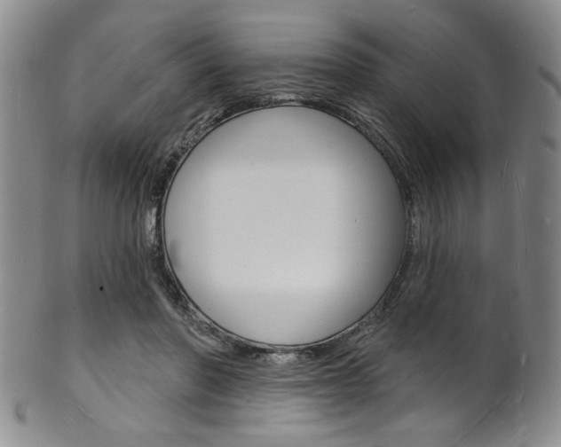 X0000101690406200807101213