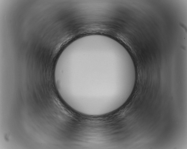 X0000101690407200807101213