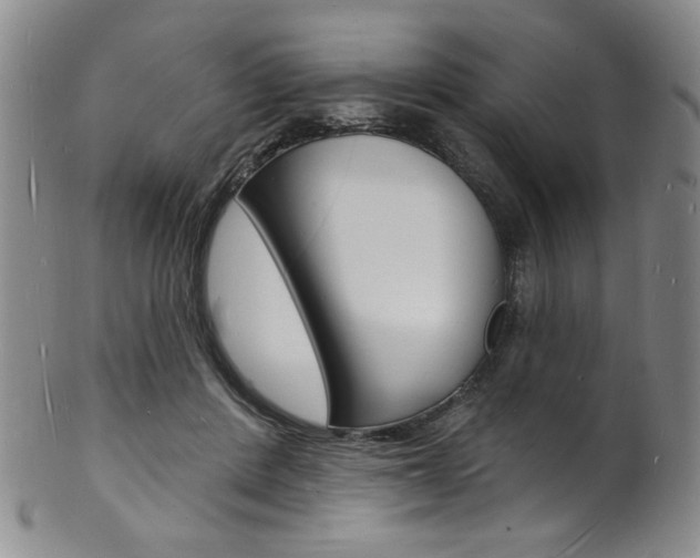 X0000101690408200807101213