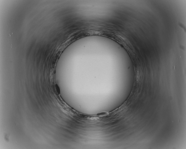 X0000101690409200807101213