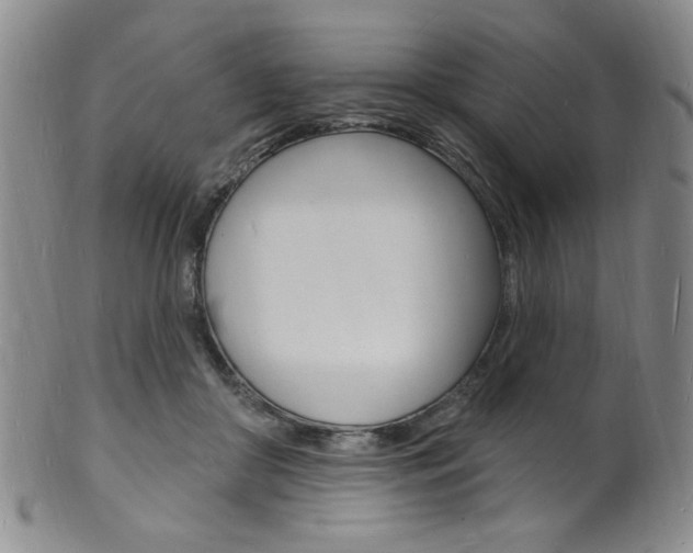 X0000101690410200807101213